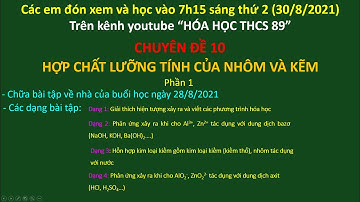 Chuyên đề 10: Hợp chất lưỡng tính của nhôm và kẽm (P 1) | Ôn thi HSG Hóa học lớp 9 năm học 2021-2022