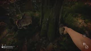 Puma Attack in Green Hell