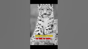 Animals that are going extinct soon 🥹 #shorts #shortsfeed