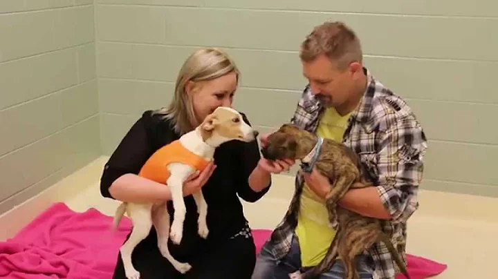 Cutest Proposal Ever! Feat: Dana Marshall
