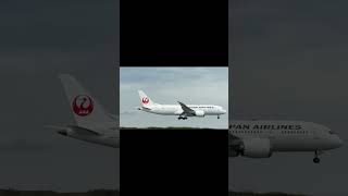 JL8663 | JA836J | NRT - TPE | Boeing787-8 | 20260301