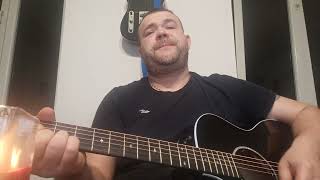 Janek Ledecký - Sliby Se Mají Plnit Cover