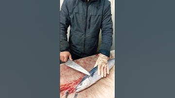 Master Fishmonger Standard Guide!! How to Steak a Fish