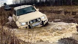 Роскошь в грязи. Два Патрола на 42