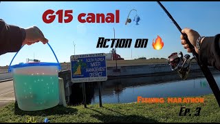 G15 canal 🎣 Multi-Species (Broward co. Florida fishing marathon Ep.3)