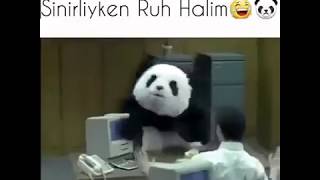 Ben Yoruldum Hayat... panda