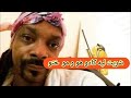 رئيسة الوزراء ديال المدلولات فخاطر المديليلات بصوت دادة مباركة 