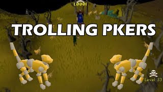 Pretending To Hunt Black Chins (Little Did They Know, I Had Clockwork Cats)
