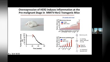 The Webinar --- Cancer Stem Cells and Drug Resistance