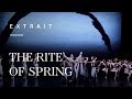 The rite of spring  martha graham dance company