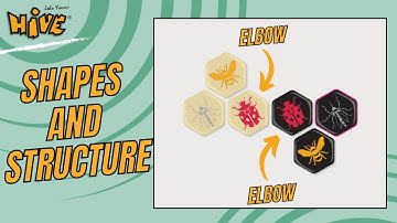 Hive Strategy: Shapes and Structure (Coaching Experiment - Lesson 1)