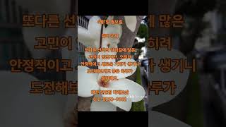 [다래보살TV] 4월1일 월요일..쥐띠 운세