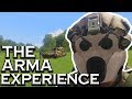 The ARMA Experience