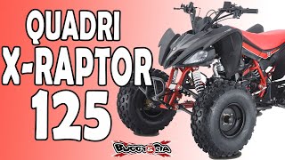 Motocicleta Trilha Raptor 125cc - Fun Motors Off Road - QUADRI E CIA OFF  ROAD - Quadriciclos, Minimotos, Peças e Serviços