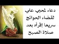 دعاء لمحبي علي لقضاء الحوائج سريعا إقرأه بعد صلاة الصبح
