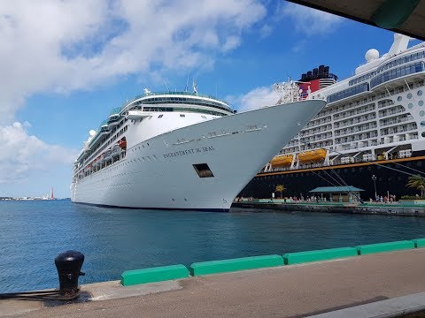 Vídeo: Cruceros Baratos Desde Miami, Los Ángeles Y Fort Lauderdale