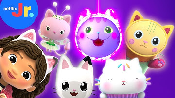 Cat of the Day Song Compilation PART 3 😻🎶 Gabby