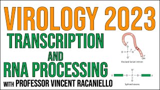 Virology Lectures 2023 #7: Transcription and RNA Processing