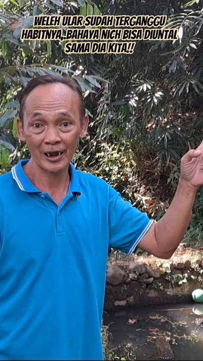 tnpa isadari saat hutan trganggu mka binatang buas sprti ularpun mnjdi korban shingga harus mngungsi