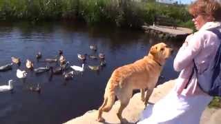 Adventure to St Mary's, Isles of Scilly