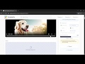 Remove Any Video Background for FREE: No Green Screen, No Watermark, Custom Background 4K