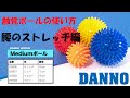 【DANNO】触覚ボールの使い方（腰のストレッチ編）