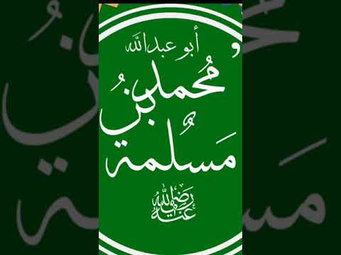 الهارب من الفتنة حارس الرسول قائد العمليات الخاصة