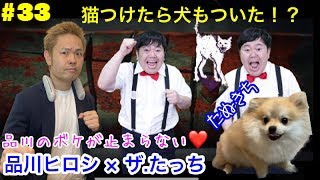 ＃３３【品川ヒロシ】品川のボケが止まらない＆猫つけたら犬ついた！？【DbD ザ・たっち】