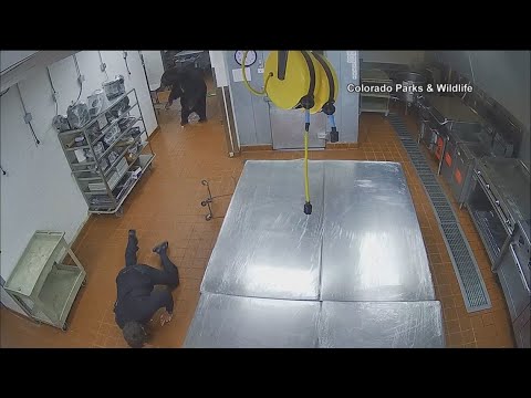 Colorado security guard had close encounter with bear