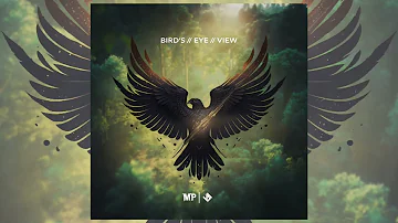 Matthew Parker & Jacob Stanifer - "Bird's Eye View"