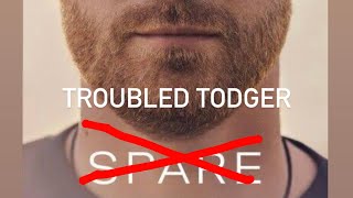 I’ll Spare You the Details: Chapter 13 Tawdry Tales of the Todger and William’s Wedding Woes #spare