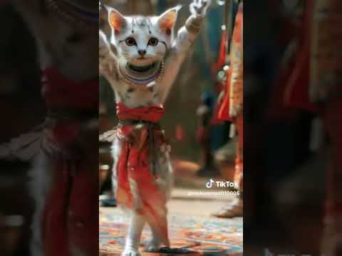 اشرب نارجيله بليمون طز بكلام اللي يحكون اشرب نرجيله بتفاح و بالليزر و طز بالراح