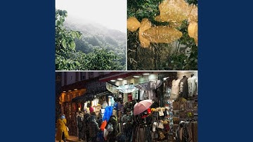 Sublime Backdrops for Chill Tuesday