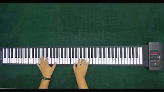 Electronic organ, Roll up piano, Electric drum set, Electronic wind Instrument