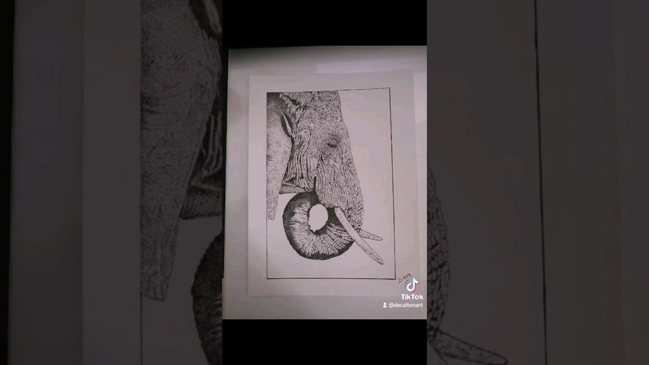 Watch 1 jours 1 portrait future expo sept 2023 ✨ éléphant technique pointillisme ✨ on YouTube Watch 1 jours 1 portrait future expo sept 2023 ✨ éléphant technique pointillisme ✨ on YouTube
