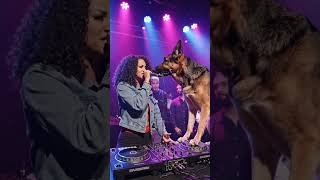 #rap #lifeisbutadream #femalerapper