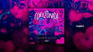 Una Corazonada - Conjunto Galope De Rio Grande (Audio Oficial)