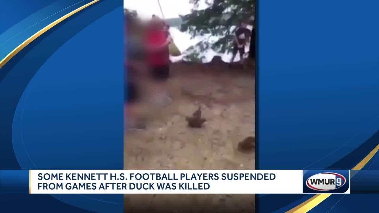 NH high school football players suspended for killing duck pic