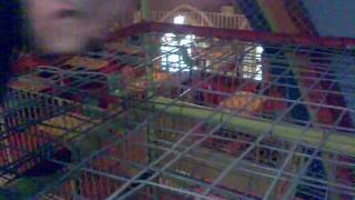 Mr-skimmed falling rainbow funhouse