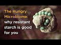 The Impact of Resistant Starch on Gut Health and Microbiome Function