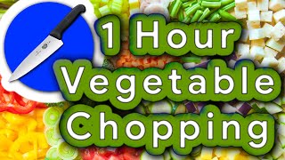 ASMR 1 Hour Compilation #01 | Vegetable Chopping Channel