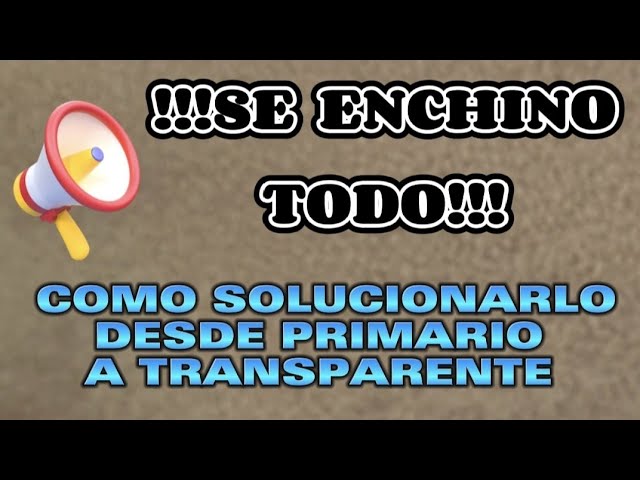 el auto bajo 1K reacaba la pintura, poder de ocultación fuerte de