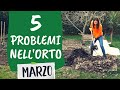 ORTO a MARZO: 5 cose a cui fare attenzione