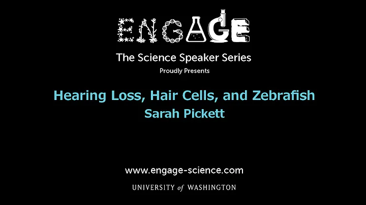 Hearing Loss, Hair Cells, and Zebrafish by Sarah P...