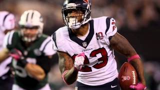 Jacksonville Jags vs Houston Texans 11/18/2012