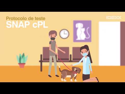 Vídeo: Teste De Lipase: Objetivo, Procedimento E Resultados