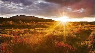 DJ Melodie - Beautiful Day (Slowed   Reverb)