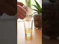 Racines d’orchidée pourries ou sèches