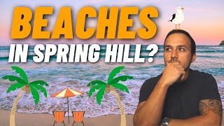 The TOP 3 Beaches in Spring Hill, Florida (Vlog Tour)