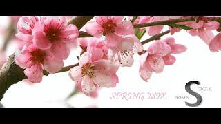 Spring Mix - Serge S Presents.